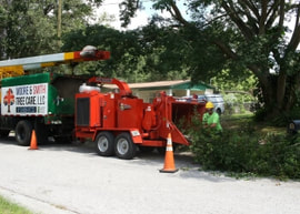 tree service truck and grinding machine
